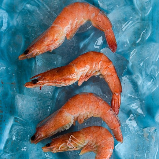 alaskan fish shack